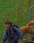 1997_-_Air_Bud_mp44117.jpg