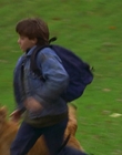 1997_-_Air_Bud_mp44118.jpg