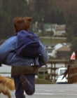 1997_-_Air_Bud_mp44150.jpg