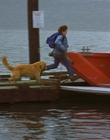 1997_-_Air_Bud_mp44170.jpg
