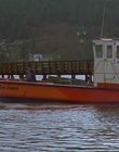 1997_-_Air_Bud_mp44189.jpg