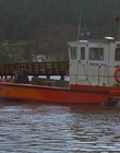 1997_-_Air_Bud_mp44190.jpg