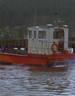 1997_-_Air_Bud_mp44191.jpg