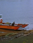 1997_-_Air_Bud_mp44221.jpg