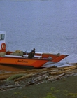1997_-_Air_Bud_mp44223.jpg