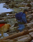 1997_-_Air_Bud_mp44229.jpg