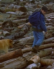 1997_-_Air_Bud_mp44230.jpg