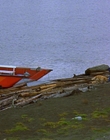 1997_-_Air_Bud_mp44232.jpg