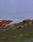 1997_-_Air_Bud_mp44233.jpg