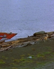 1997_-_Air_Bud_mp44234.jpg