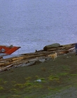 1997_-_Air_Bud_mp44235.jpg