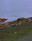 1997_-_Air_Bud_mp44236.jpg