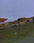 1997_-_Air_Bud_mp44237.jpg
