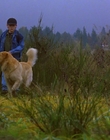 1997_-_Air_Bud_mp44242.jpg