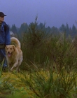 1997_-_Air_Bud_mp44243.jpg