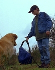 1997_-_Air_Bud_mp44257.jpg