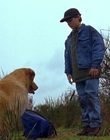 1997_-_Air_Bud_mp44258.jpg