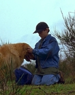 1997_-_Air_Bud_mp44266.jpg