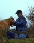 1997_-_Air_Bud_mp44267.jpg