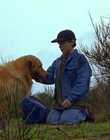 1997_-_Air_Bud_mp44269.jpg