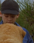 1997_-_Air_Bud_mp44275.jpg