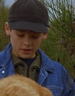 1997_-_Air_Bud_mp44276.jpg