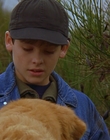 1997_-_Air_Bud_mp44277.jpg