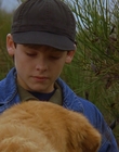 1997_-_Air_Bud_mp44278.jpg