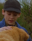 1997_-_Air_Bud_mp44279.jpg