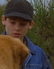 1997_-_Air_Bud_mp44280.jpg