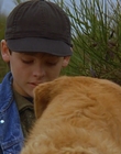 1997_-_Air_Bud_mp44282.jpg