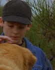 1997_-_Air_Bud_mp44285.jpg