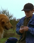 1997_-_Air_Bud_mp44303.jpg