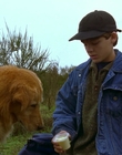 1997_-_Air_Bud_mp44307.jpg