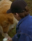 1997_-_Air_Bud_mp44310.jpg
