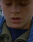 1997_-_Air_Bud_mp44314.jpg
