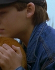 1997_-_Air_Bud_mp44324.jpg