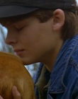 1997_-_Air_Bud_mp44325.jpg