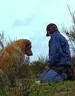 1997_-_Air_Bud_mp44329.jpg