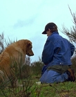 1997_-_Air_Bud_mp44330.jpg