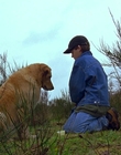 1997_-_Air_Bud_mp44331.jpg