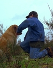 1997_-_Air_Bud_mp44333.jpg