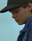 1997_-_Air_Bud_mp44336.jpg