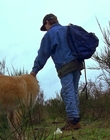 1997_-_Air_Bud_mp44343.jpg