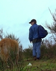 1997_-_Air_Bud_mp44345.jpg