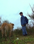 Filename=1997_-_Air_Bud_mp44348.jpg
Filesize=1186KiB
Dimensions=1920x1080
Date added=Dec 29, 2023 1997_-_Air_Bud_mp44348.jpg