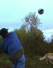 Filename=1997_-_Air_Bud_mp44392.jpg
Filesize=951KiB
Dimensions=1920x1080
Date added=Dec 29, 2023 1997_-_Air_Bud_mp44392.jpg