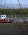 1997_-_Air_Bud_mp44427.jpg