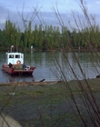 1997_-_Air_Bud_mp44430.jpg