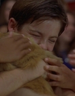 1997_-_Air_Bud_mp44798.jpg